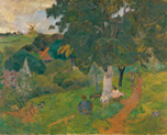  Visions of Paradise, lecture series