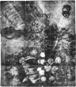 Radiografía de La Virgen de la aldea, girada sobre su lado izquierdo.