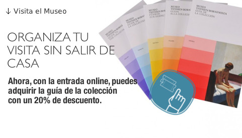 Entrada online y compra online guia 2013