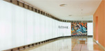 large mural of the curve of temporary exibitions